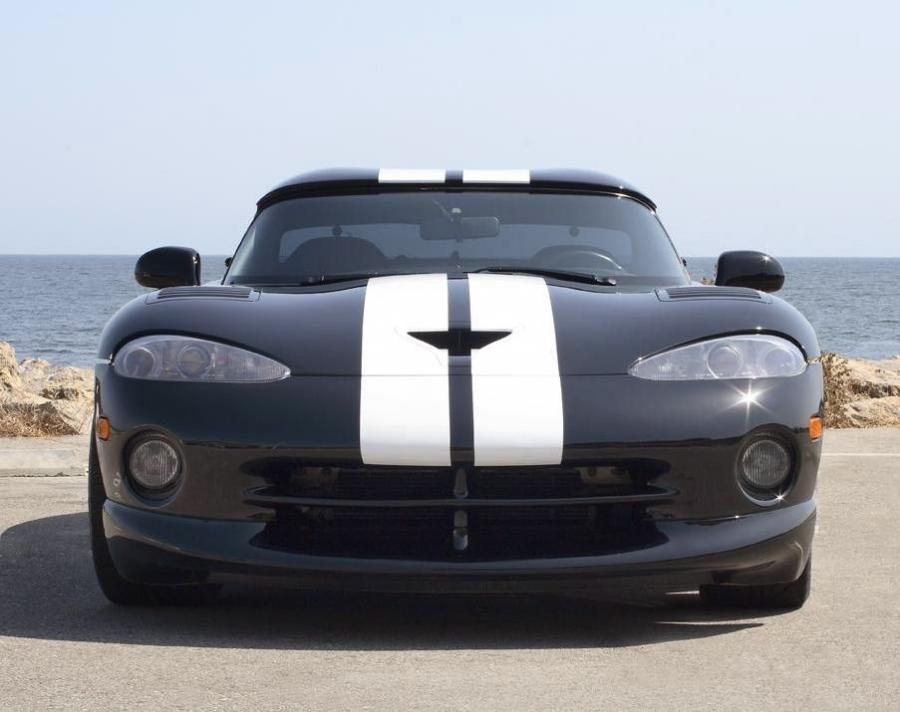  Dodge Viper by Pam Anderson 2008 года  (фото 5 из 6)